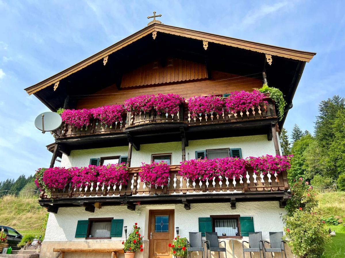 Appartement Sunnseit - Kitzbueheler Alpen سانكت يوهان ان تيرو المظهر الخارجي الصورة