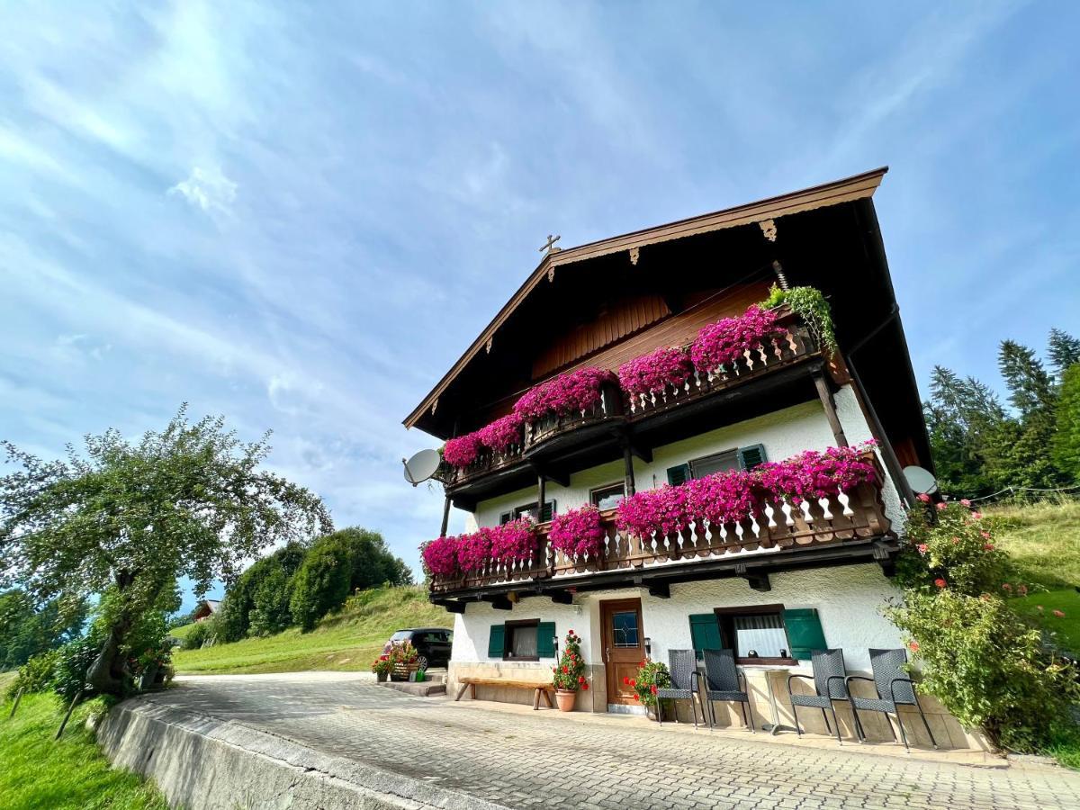 Appartement Sunnseit - Kitzbueheler Alpen سانكت يوهان ان تيرو المظهر الخارجي الصورة
