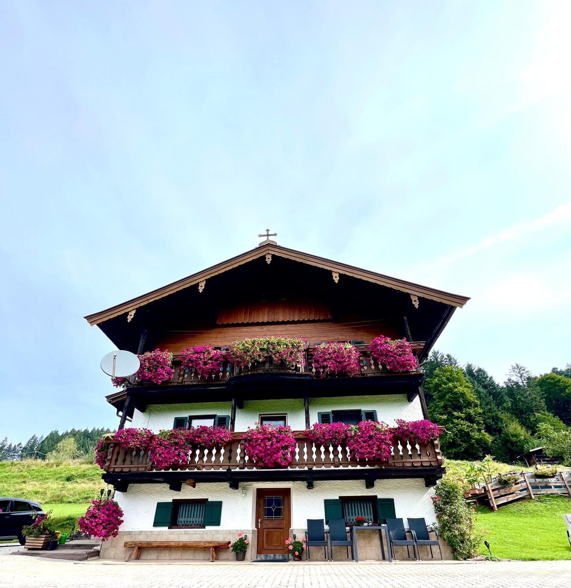 Appartement Sunnseit - Kitzbueheler Alpen سانكت يوهان ان تيرو المظهر الخارجي الصورة